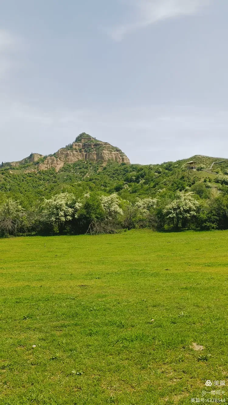 新疆伊利大西沟福寿山的野山楂花与野果子之旅